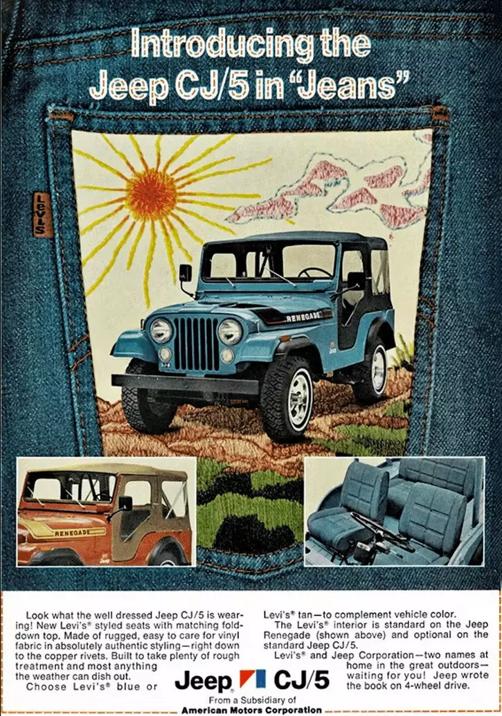 Indigo's Enduring Allure: From Fashion to Furnishings