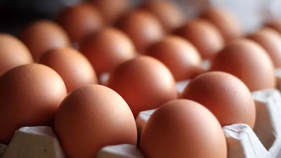 St. Ewe Free Range Eggs Welcomes New Chairman and Non-Executive Directors