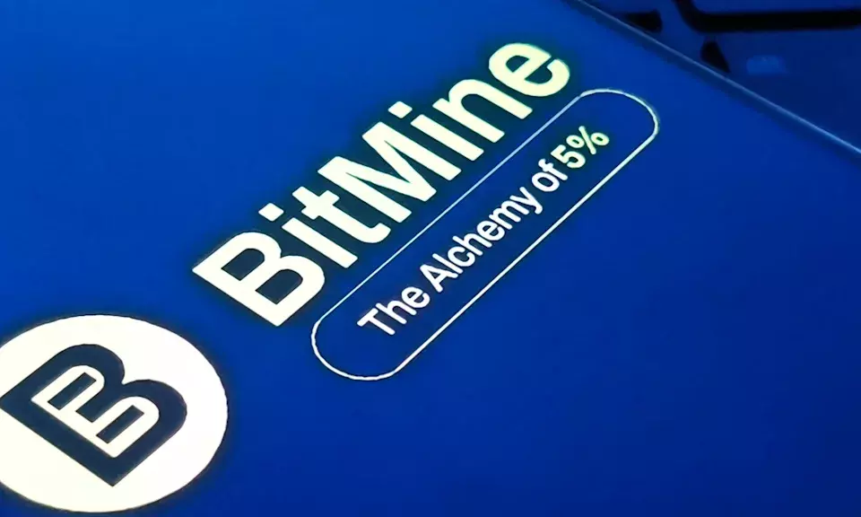 Bitmine's Strategic Ethereum Acquisition Amidst Market Downturn