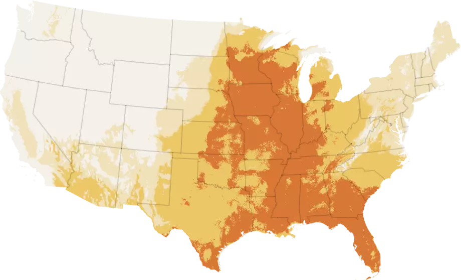 US Braces for Record-Breaking Heatwave Ahead of Holiday Weekend
