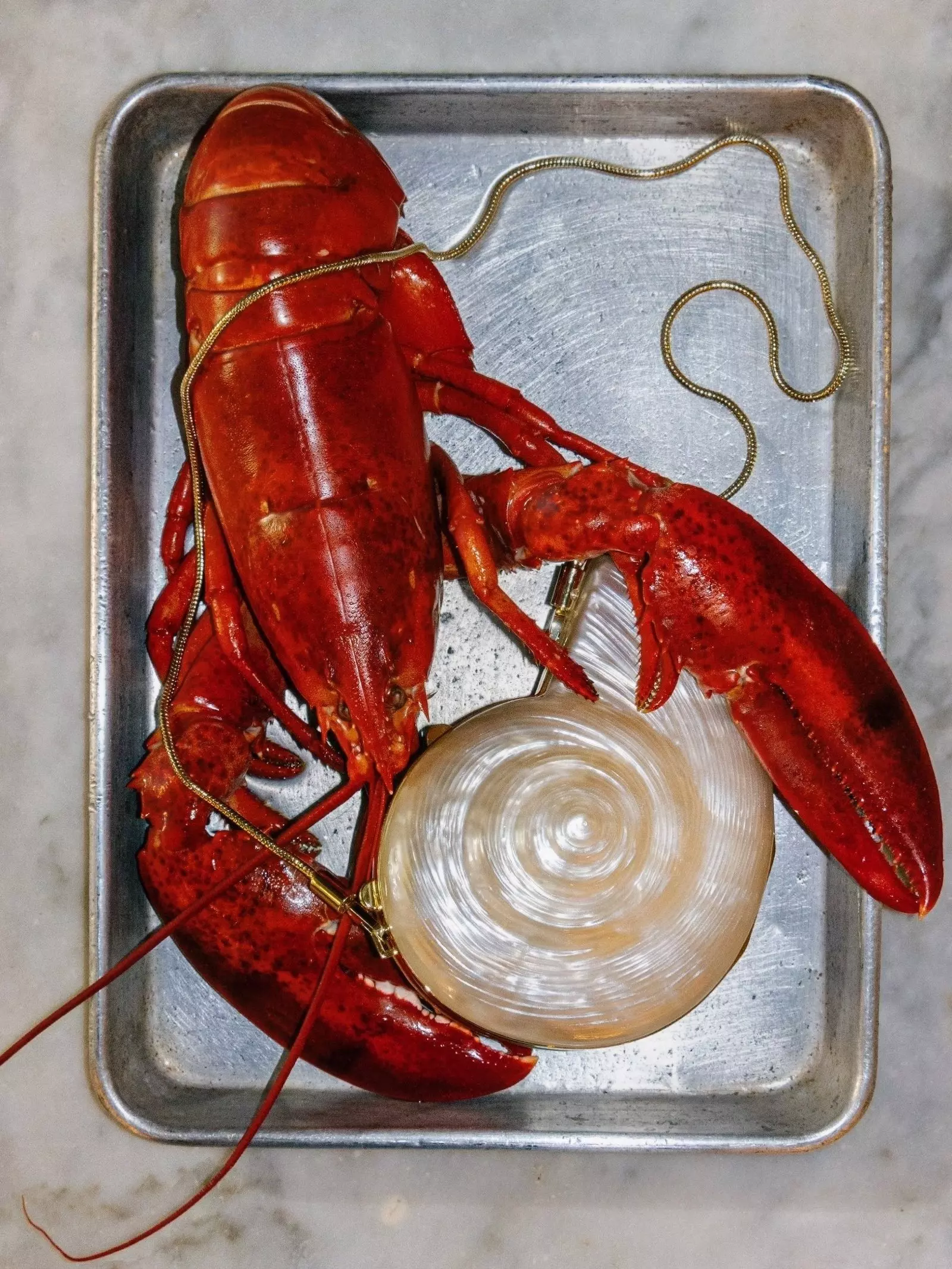 The Enduring Allure of Seashell Accessories in Fashion