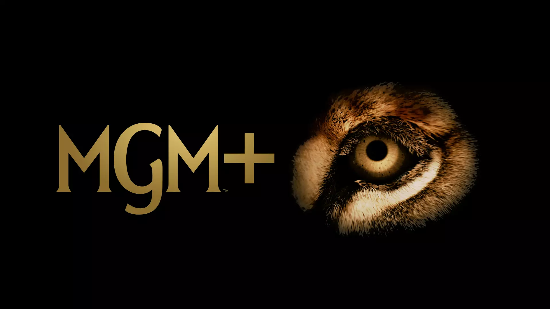 Directors Guild Pension Plan Sues MGM Over Alleged Self-Dealing in Licensing Agreements