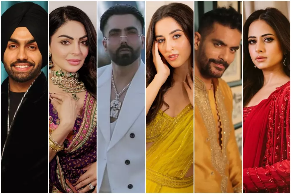 Panorama Studios Expands Punjabi Cinema Footprint with New Film Acquisitions