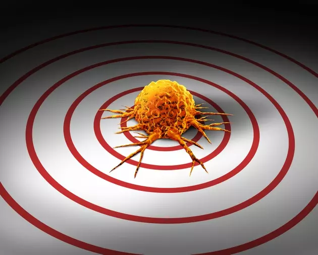 Inhibrx Biosciences: Navigating Oncology Drug Development with Cautious Optimism