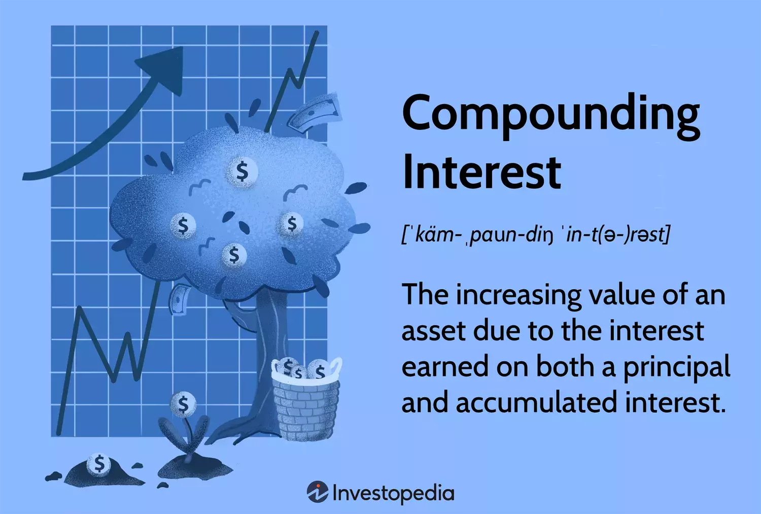 Understanding Compound Interest: The Power of Exponential Growth