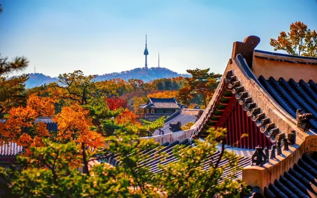 South Korean Market Faces Bearish Outlook Amidst Global Volatility