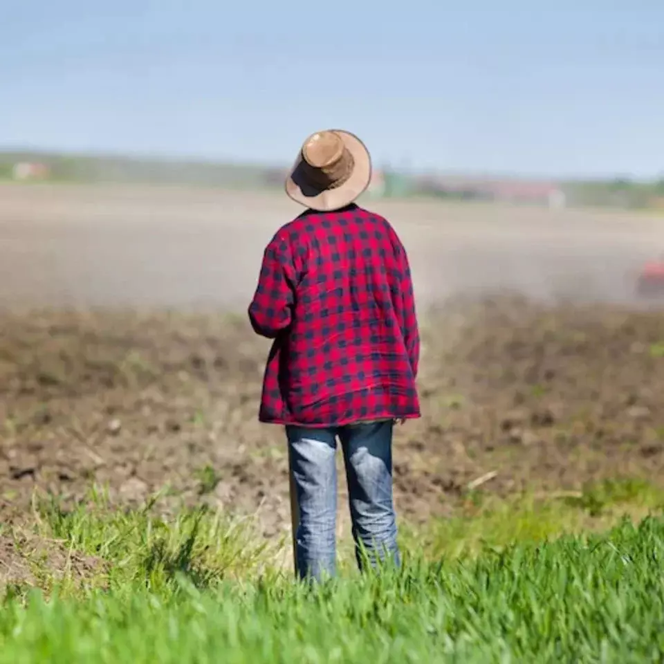 Understanding the Financial Implications of Farm Development Rights for Retirees