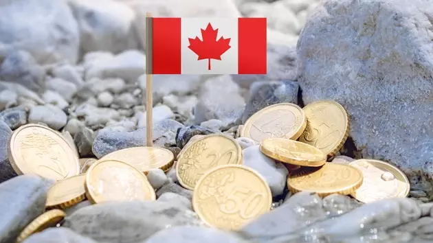 ClearBridge Canadian Small Cap Strategy's Q2 Performance Analysis