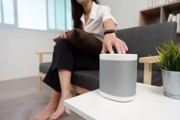 Sonos: A Robust Investment Opportunity in the Premium Audio Market