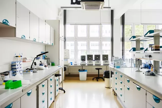 Collegium Pharmaceutical: A Shifting Horizon Beyond Pain Management