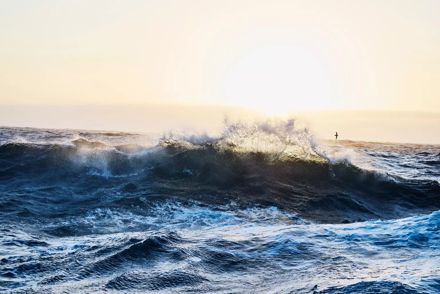 OceanFirst Financial Corp. Bolsters Presence with Strategic Acquisition, Reports Steady Q2 Performance