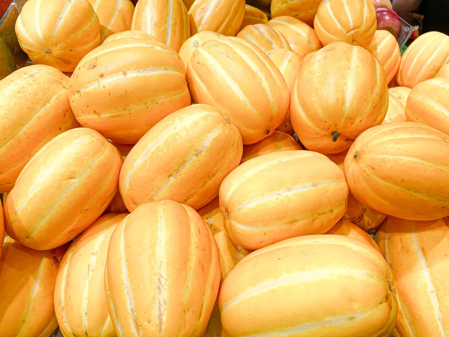 A Connoisseur's Guide to Selecting the Perfect Melon