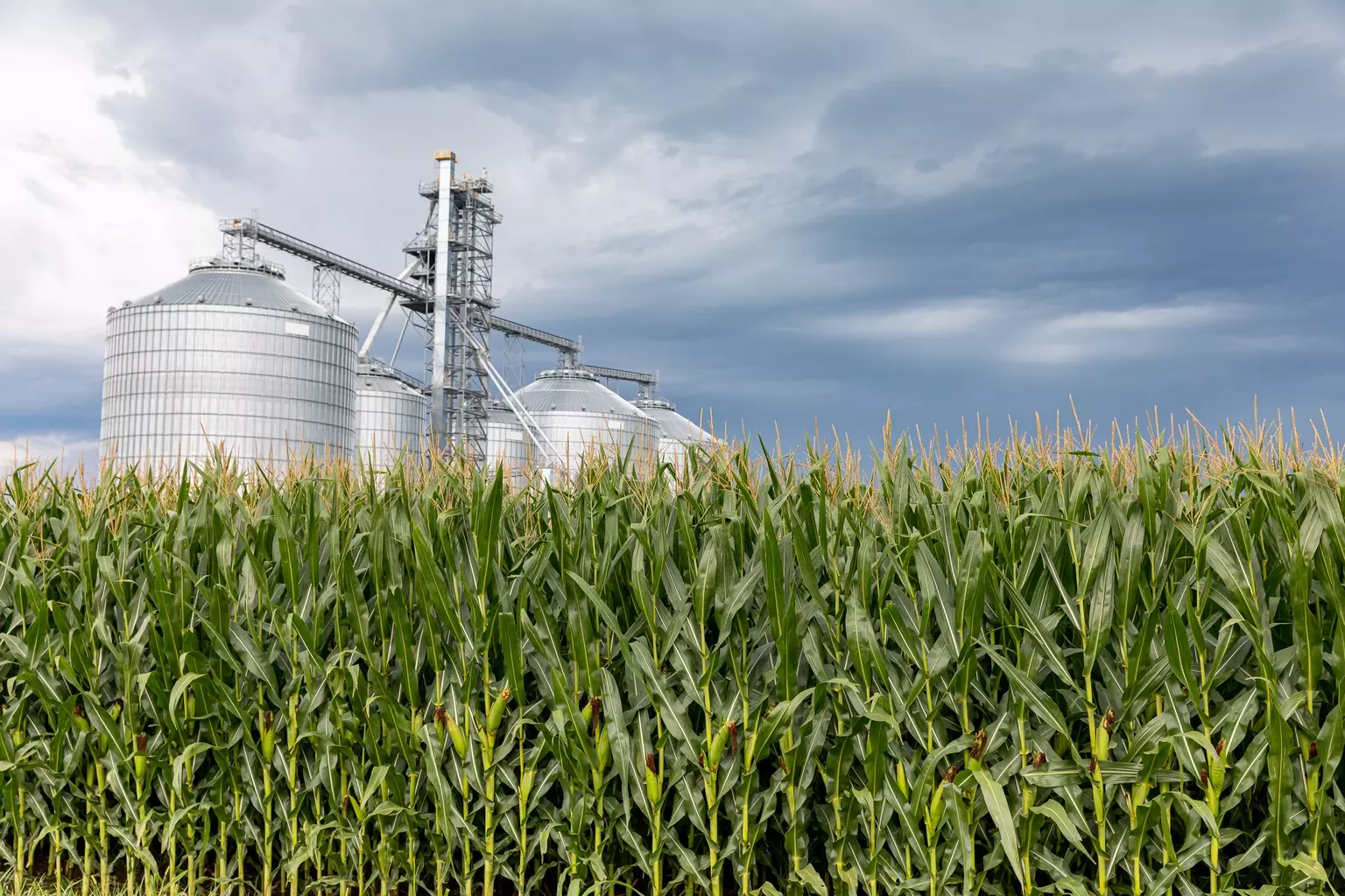 Alto Ingredients: A Promising Investment in Renewable Fuels