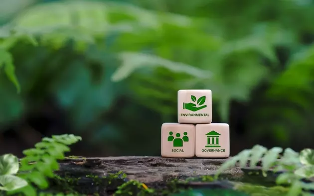 Innovations in Tailings Reprocessing: A Sustainable Future for Mining