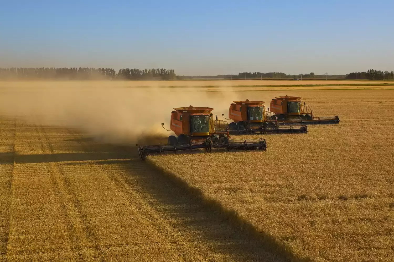 Diversifying Investments: Exploring Opportunities in the Agricultural Sector