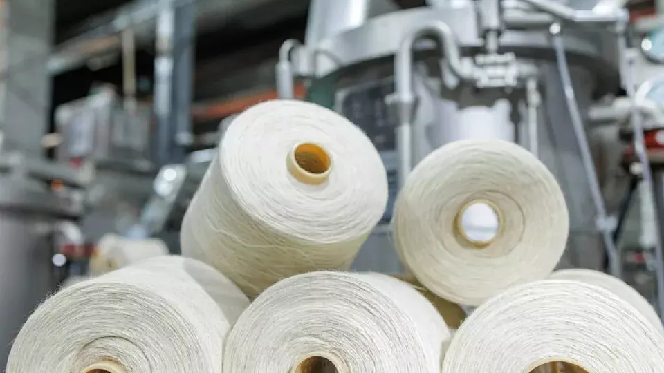 Textile Exchange Introduces New Policies for Sustainable Material Standards