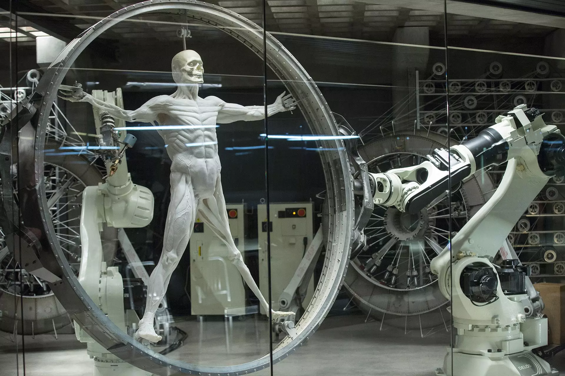 Westworld's Profound Core: Free Will and Artificial Intelligence