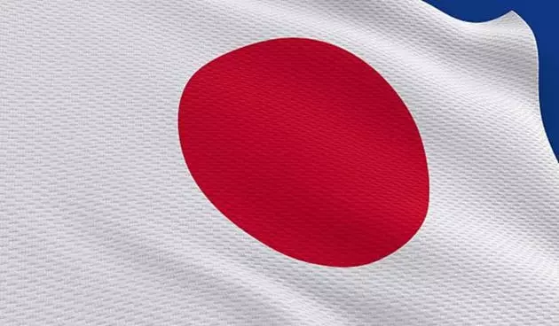 Understanding the JPMorgan BetaBuilders Japan ETF (BBJP): Features, Risks, and Alternatives