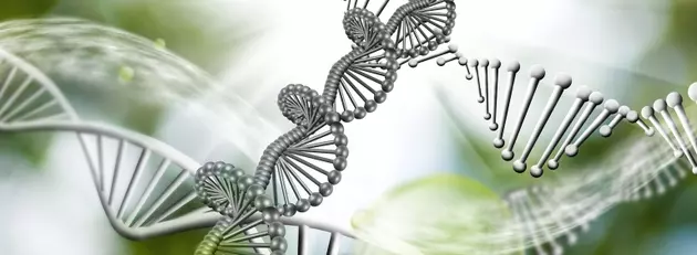 Immunome's Strategic Leap: A Strong Buy for Biotech Investors