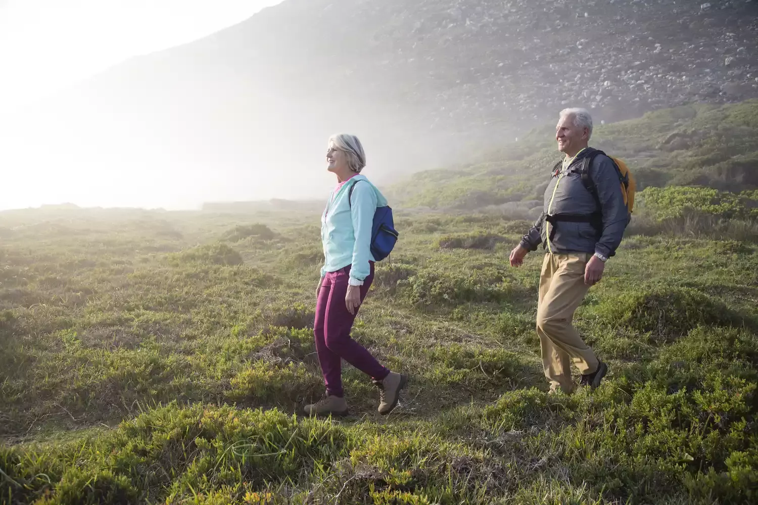 Understanding Safe Harbor 401(k) Retirement Plans