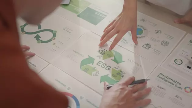 Brown Advisory's Sustainable Small-Cap Core Strategy: Navigating Market Dynamics and Future Outlook