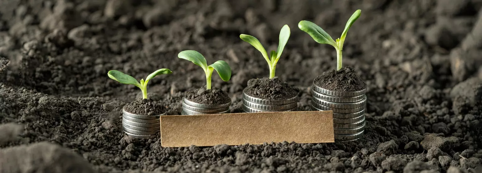Virtus KAR Small-Mid Cap Growth Fund Q2 Performance Review