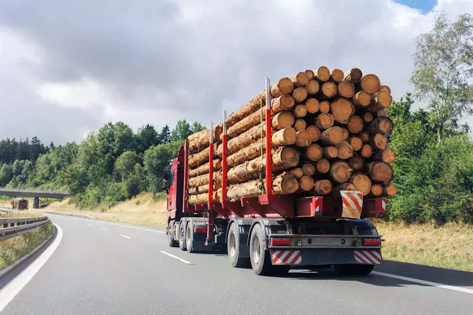 Timber Sales and Social Security: Investor or Logger?