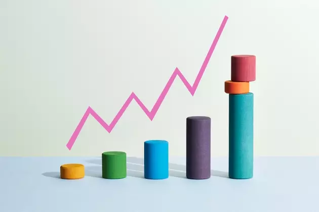 Nomura Mid Cap Growth Fund's Q2 2026 Performance and Market Outlook