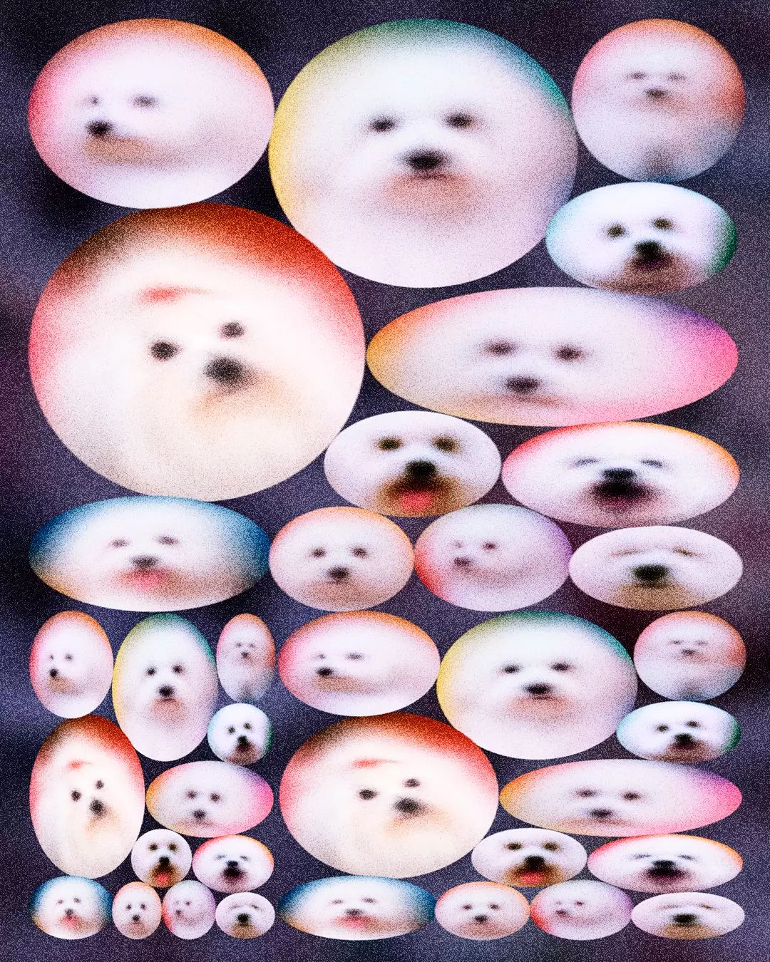 The Ethical Dilemma of Pet Cloning: Replicating Companionship