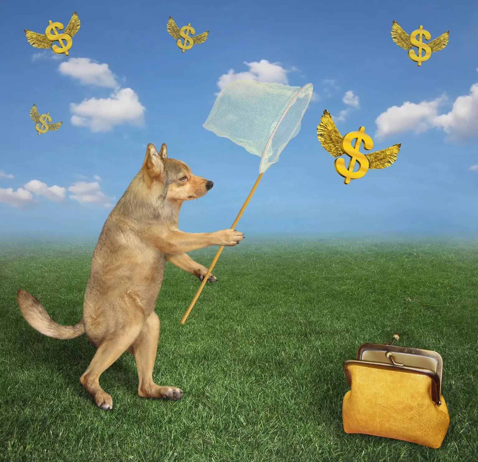 Top Monthly-Paying Dividend Stocks for August 2027