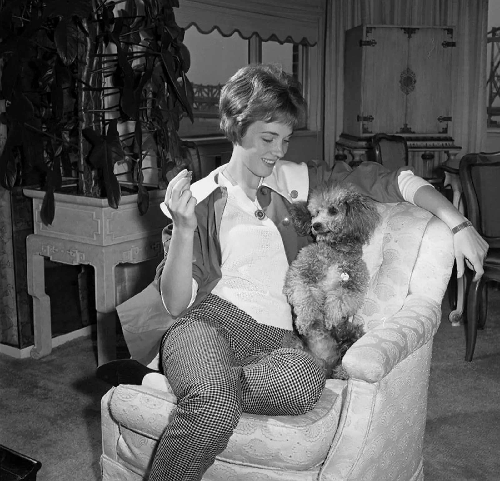 A Lifetime of Canine Companions: Julie Andrews and Emma Walton Hamilton's Enduring Love for Dogs
