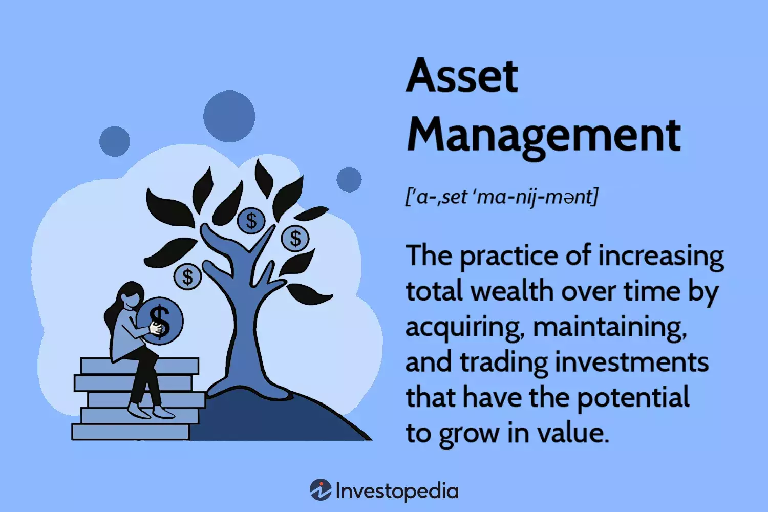Mastering Wealth: A Comprehensive Guide to Asset Management