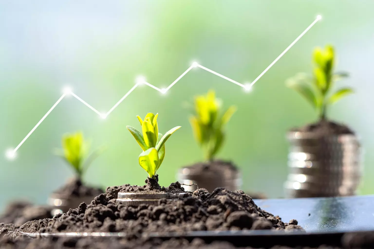 GRW's Q2 2026 Outperformance and Long-Term Strategy