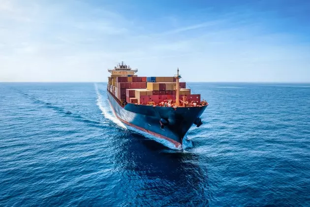 ZIM Integrated Shipping: Evaluating Acquisition Prospects and Market Dynamics