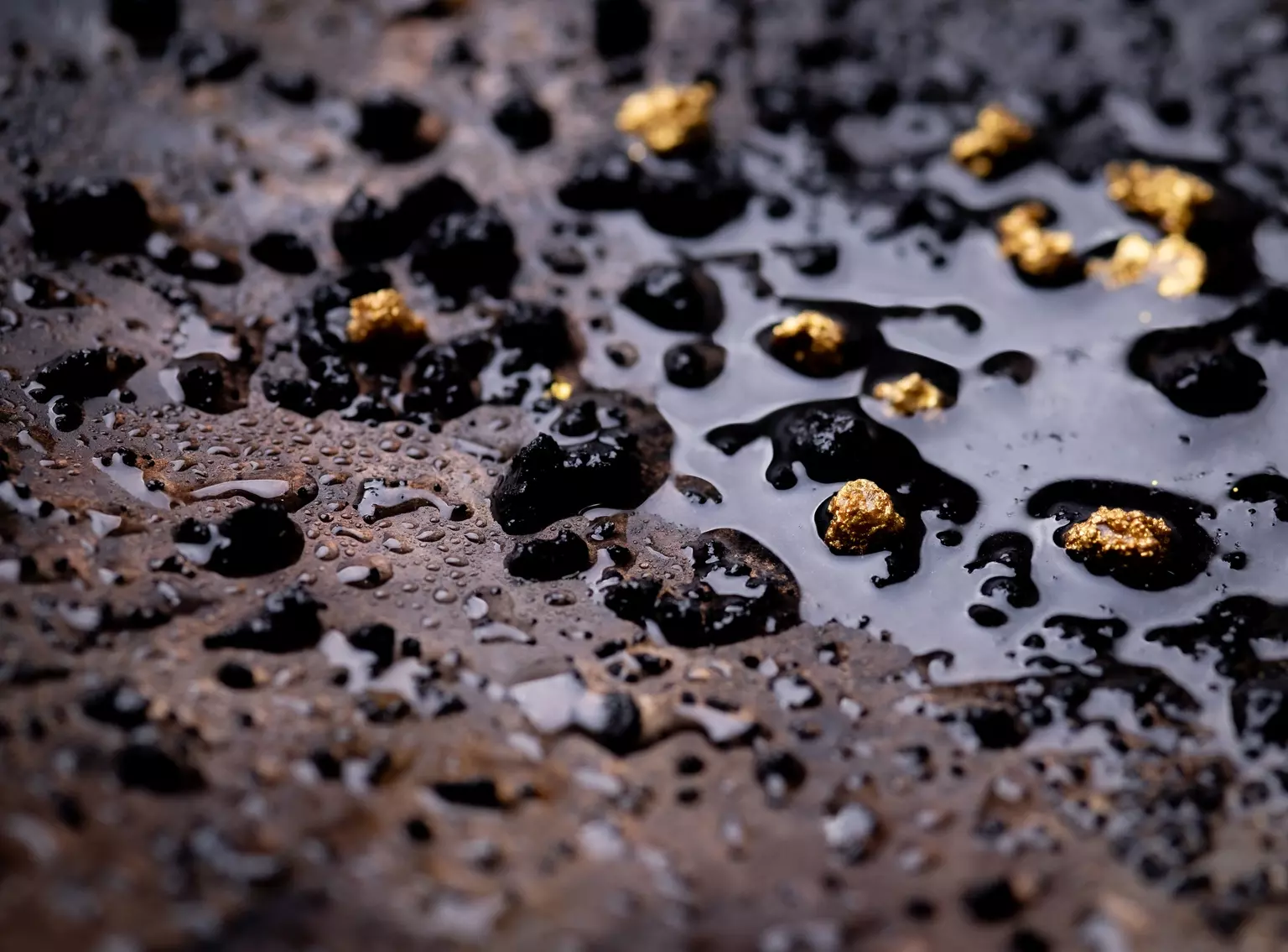 NexGold Mining: A Deep Dive into Its Canadian Gold Projects