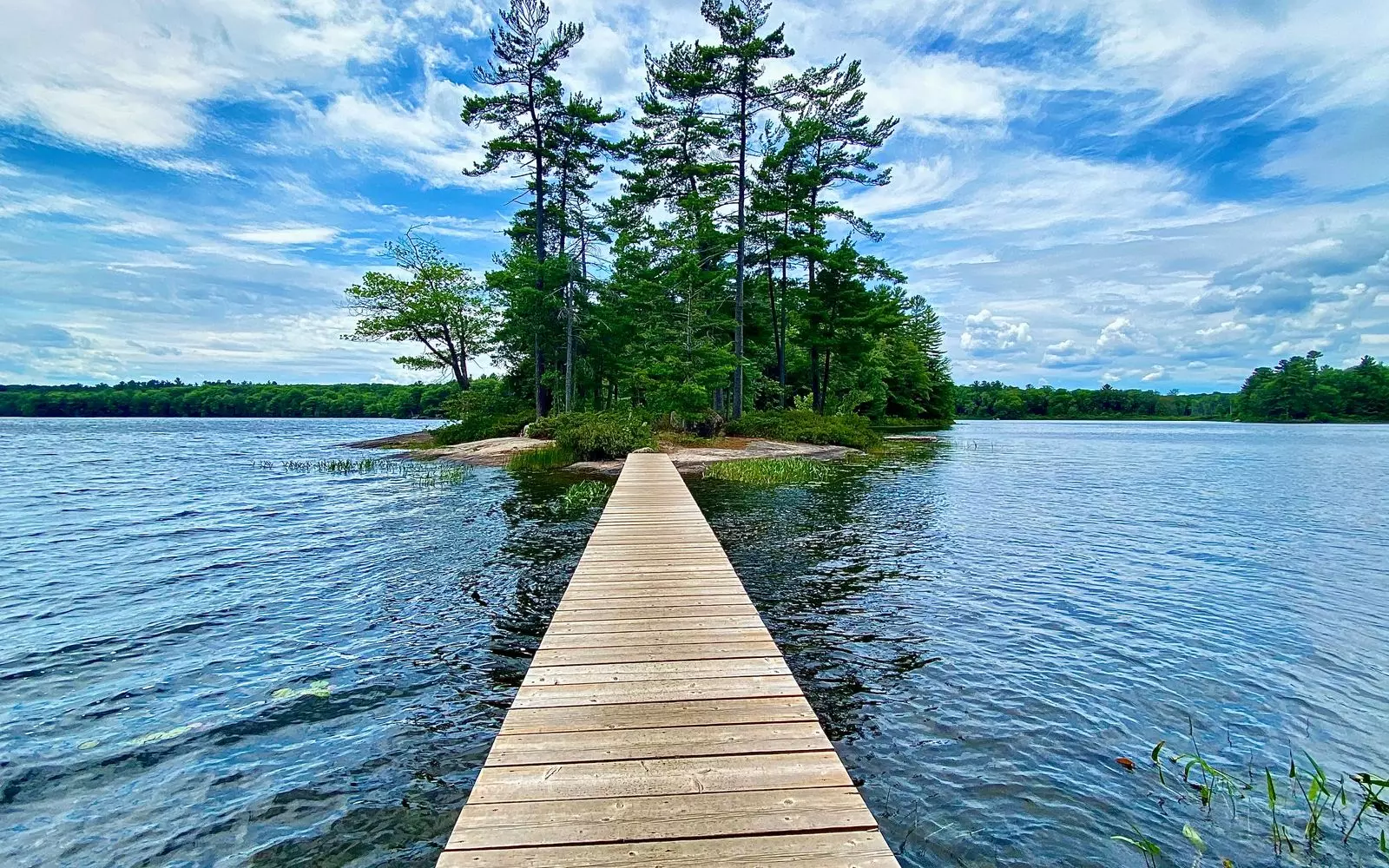 Discovering Muskoka: A Guide to the Region's Cinematic Charm