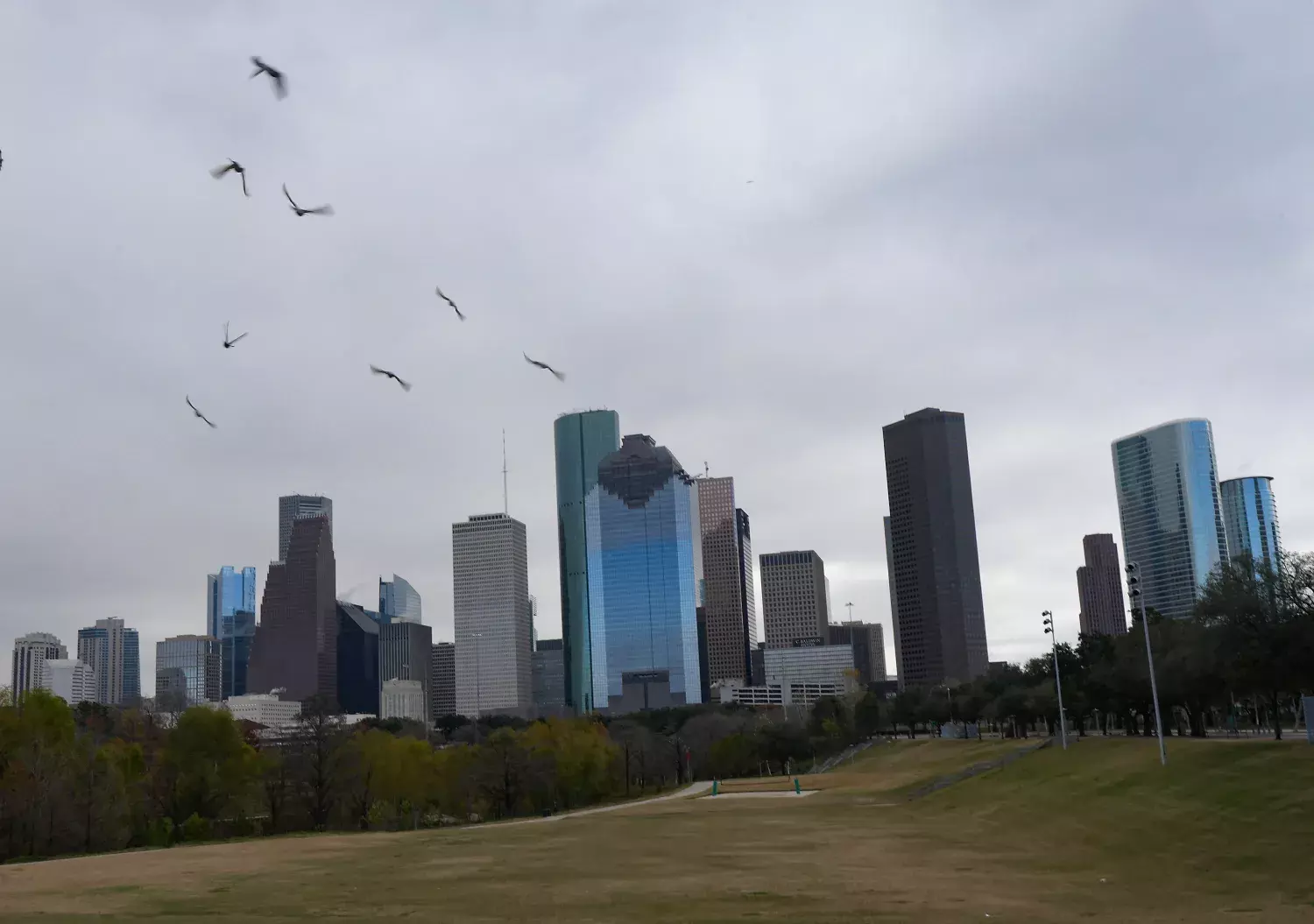 Houston: An Ideal Retirement Destination