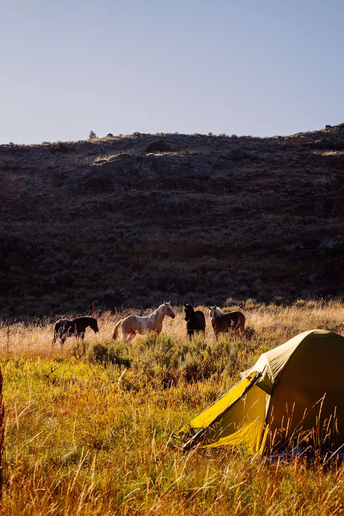 The Benefits of Sleeping Outdoors: A Guide to Nature-Immersed Retreats