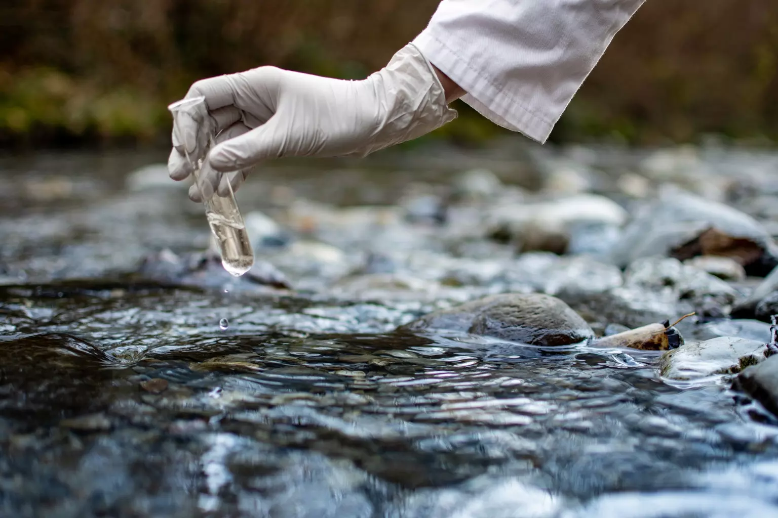 Hawkins: A Deep Dive into a Niche Chemical Distributor's Market Position and Future Prospects