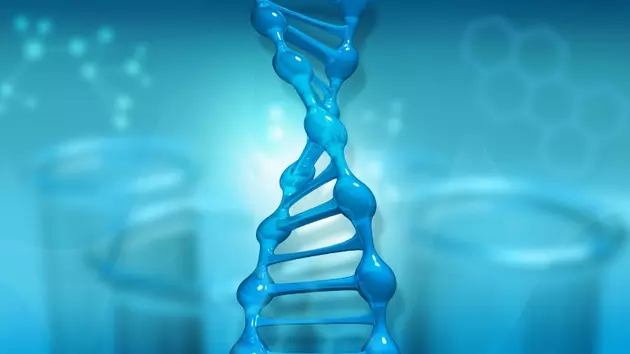 Cellectis Advances Allogeneic CAR-T Therapies with Promising Clinical Results