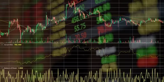 Unpacking Portfolio Performance: Key Drivers and Market Dynamics
