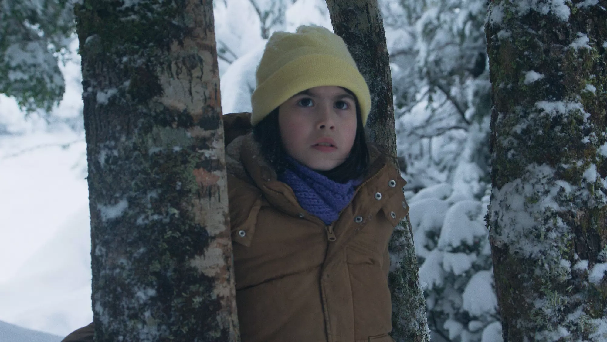 Chile's 'The Meltdown' Chosen for Oscars International Feature Race