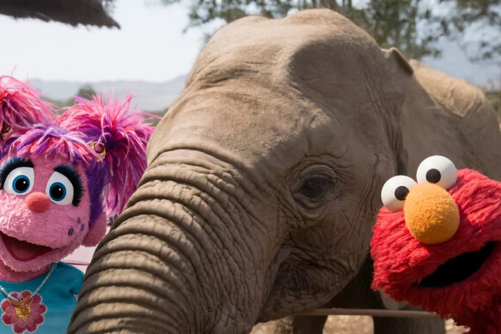 Elmo and Friends Embark on an African Safari in 'Sesame Street and the Great Elephant Adventure'