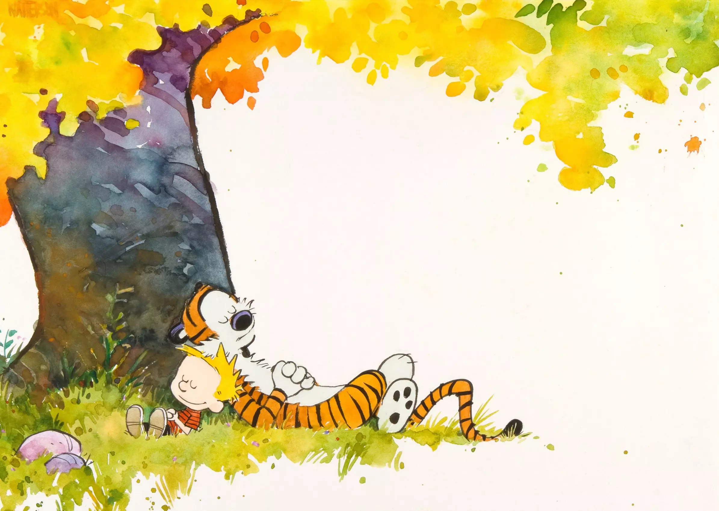 The Enduring Philosophical Depth of Calvin and Hobbes