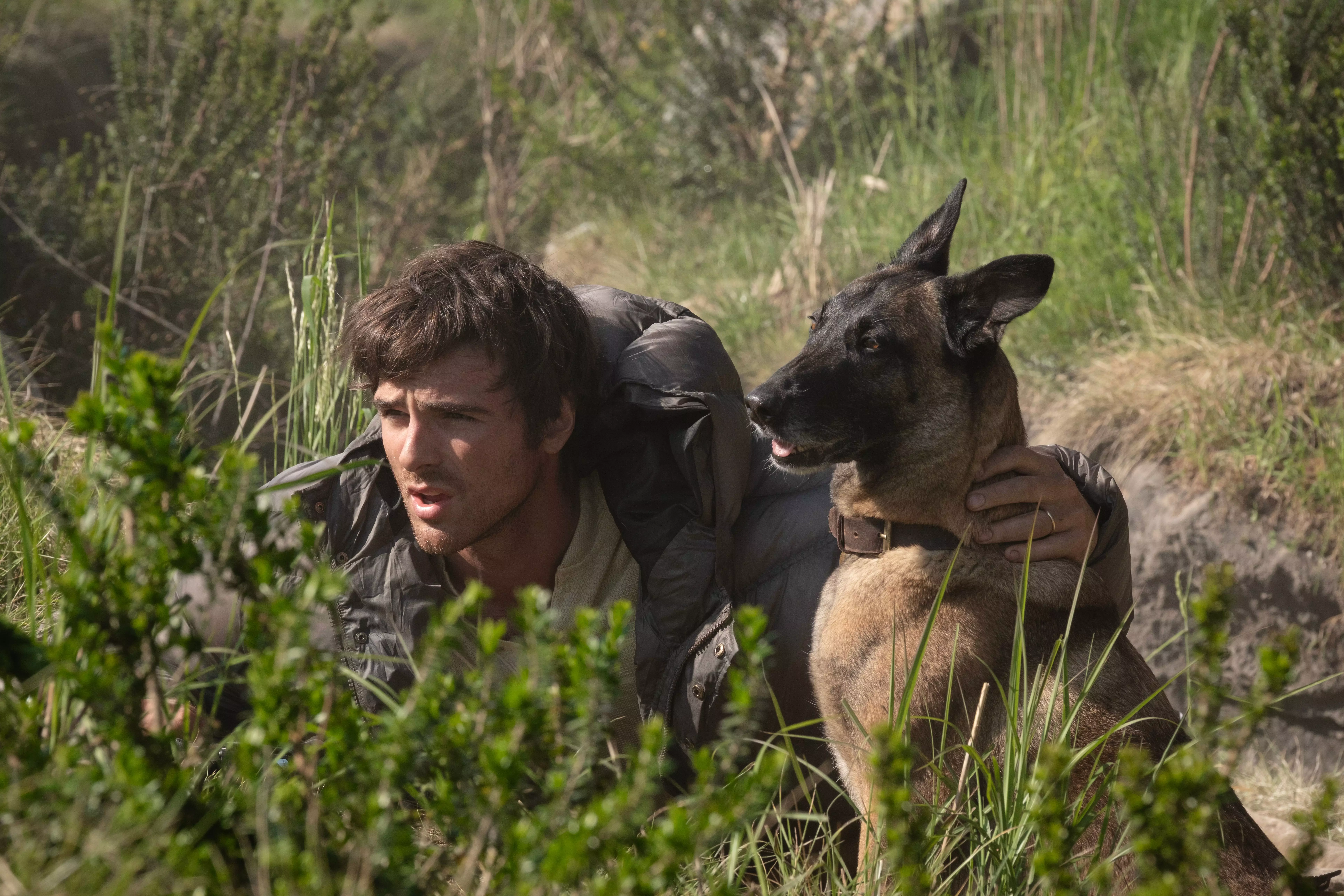 When and Where to Watch 'The Dog Stars' at Home