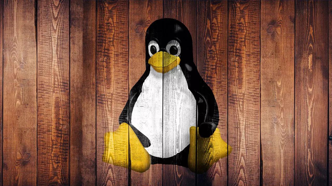 Linux Evades Age Verification Mandate in California, SteamOS Status Uncertain