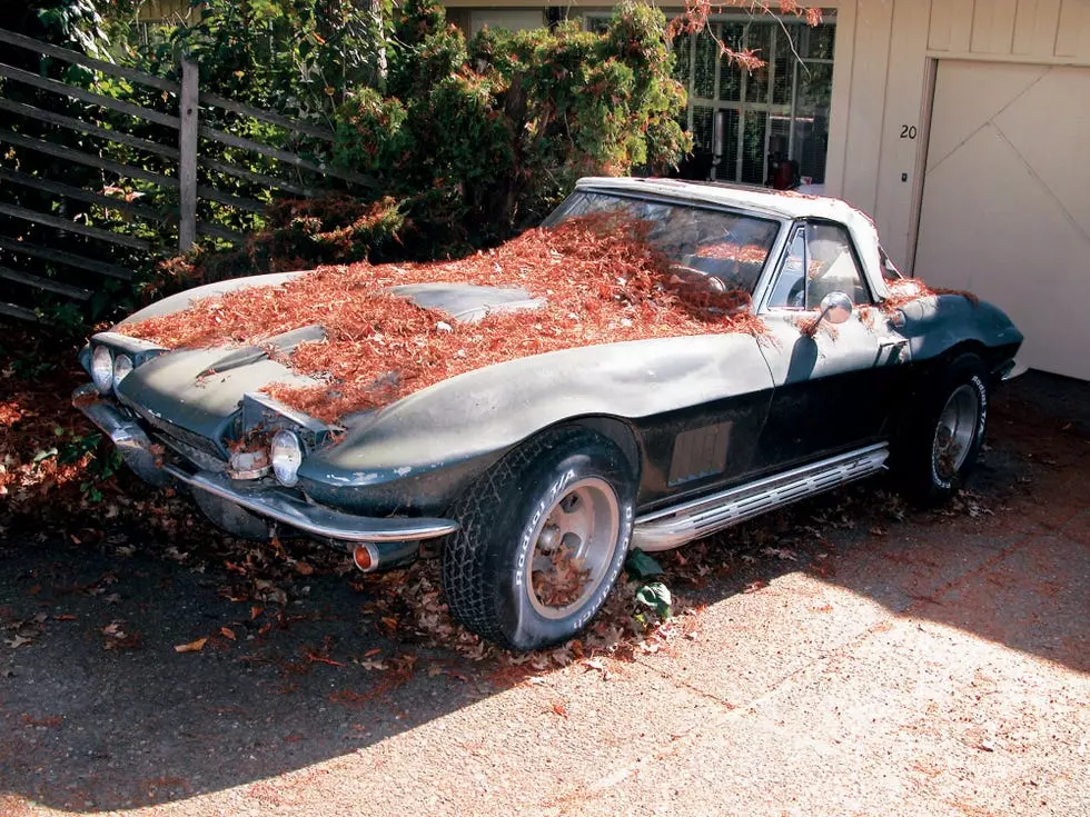 The Enduring Spirit of Forgotten Classic Cars