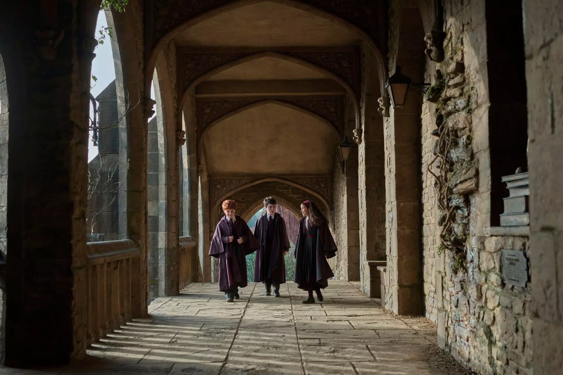 HBO's "Harry Potter" Series Reveals New Cast for Season 2, Including Dobby and Tom Riddle