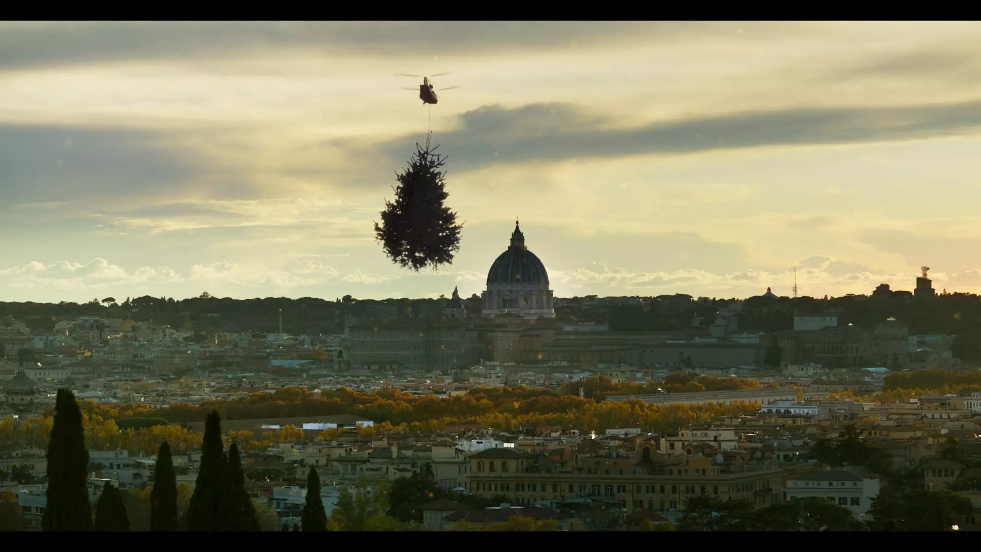A Soothing Yet Subdued Documentary on the Enigmatic World of Trees