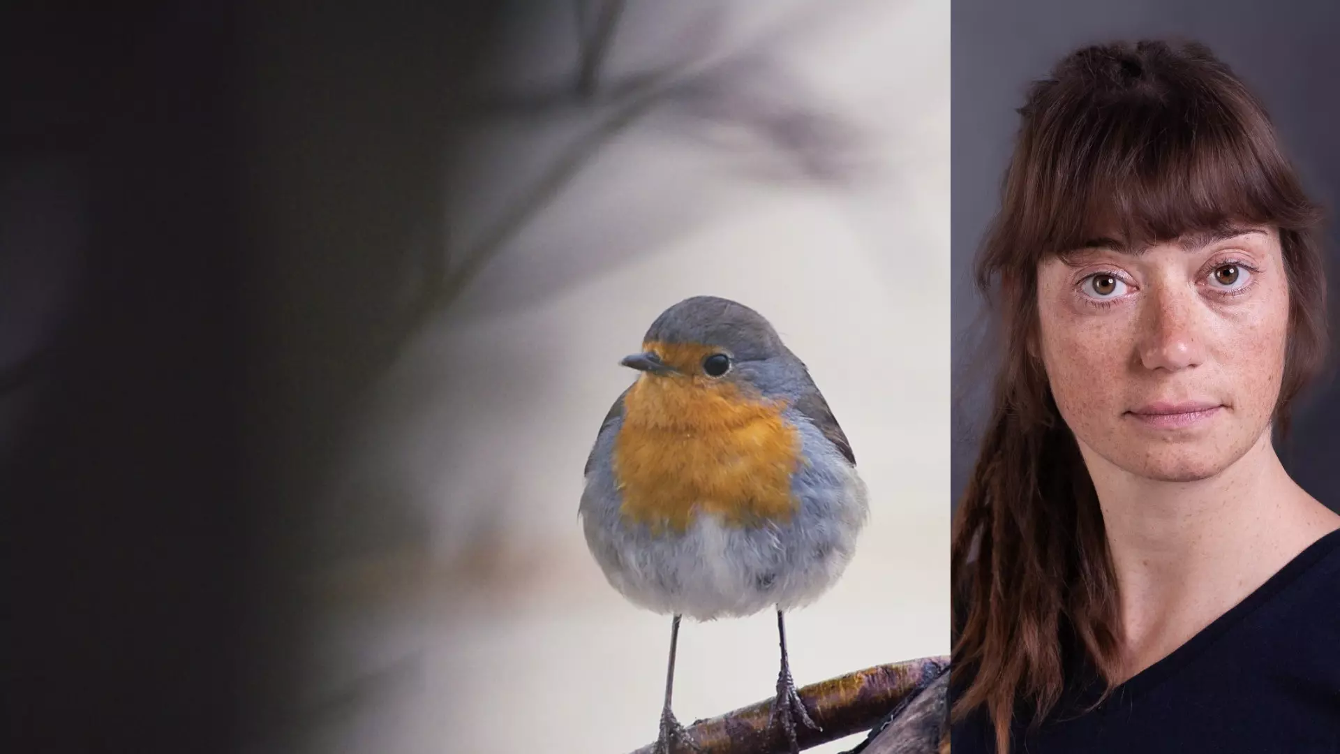 A Documentary on Nature's Resilience in the Face of Industry